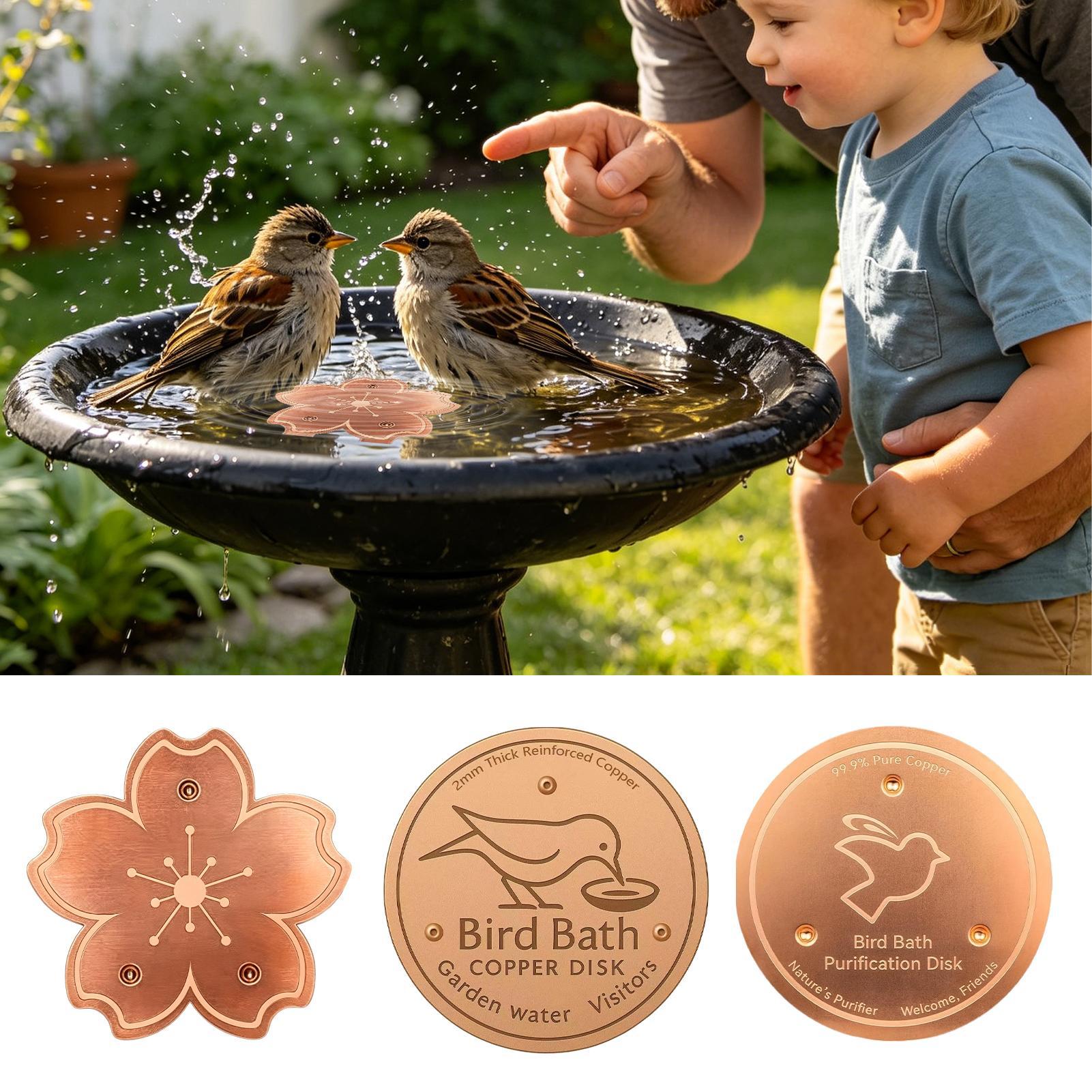 Copper For Bird Bath Safe Puri - Watches & Jewelry Repair Center New York recensione e prezzo
