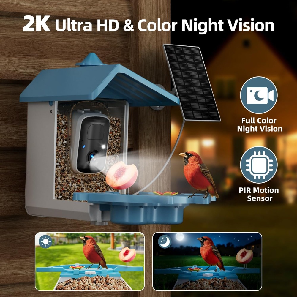 Bird Feeder with Camera for Ou - Watches & Jewelry Repair Center New York recensione e prezzo