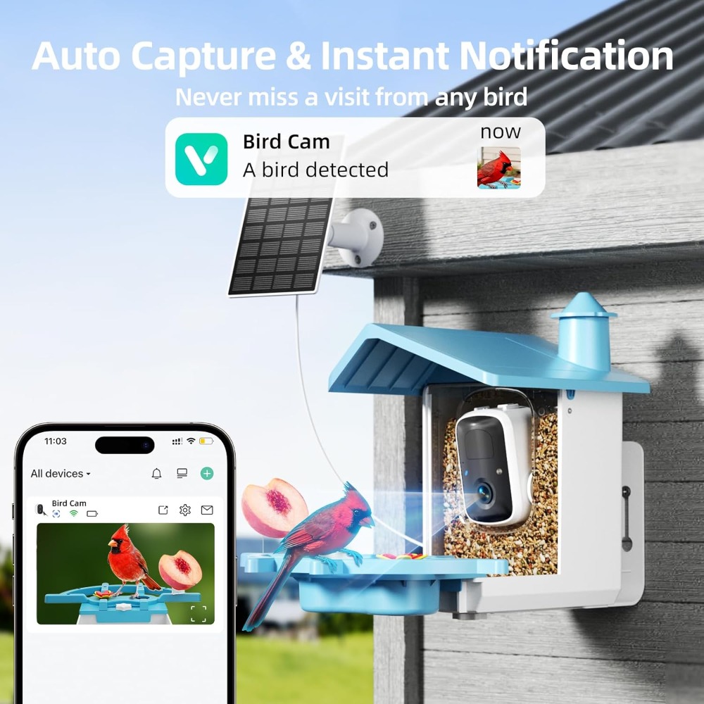 Bird Feeder with Camera for Ou - Watches & Jewelry Repair Center New York recensione e prezzo